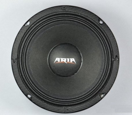 Акустическая система ARIA BZN-200S ARIA BZN-200S. Технические характеристики BZN-200S.